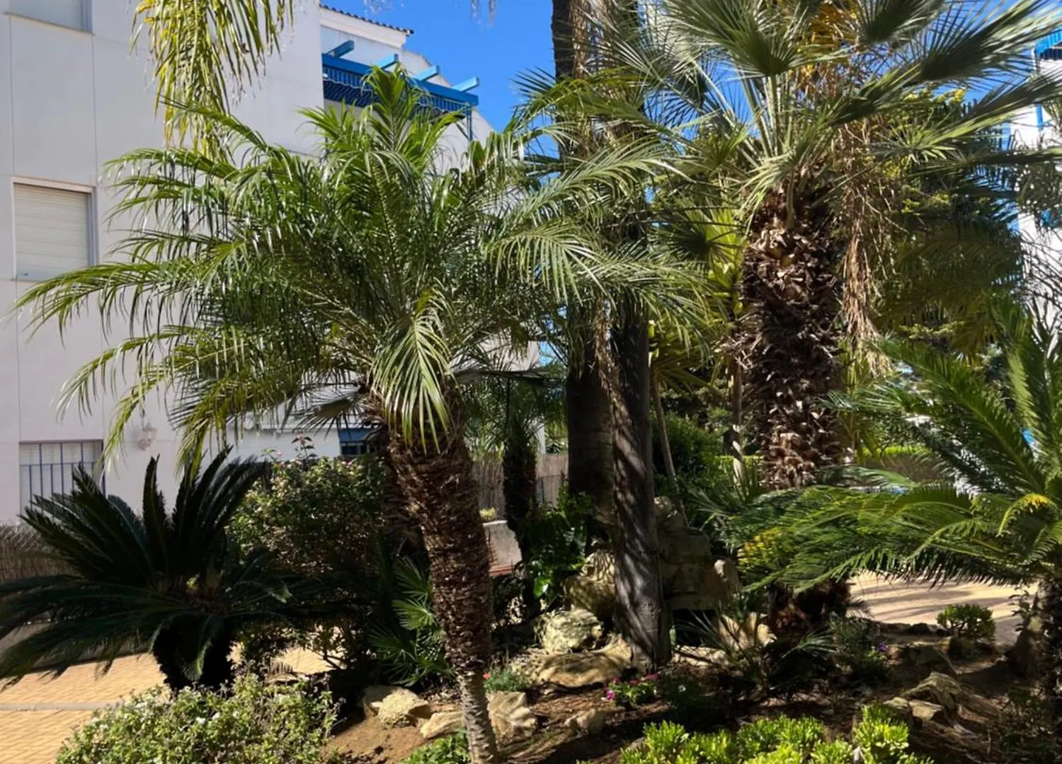 Apartamento En Costa Ballena, Urb. Playa Ballena Cádiz 0*,  España